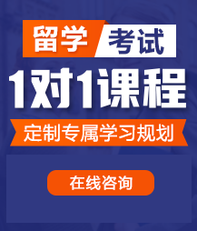 吃奶娇喘喷水小舞留学考试一对一精品课